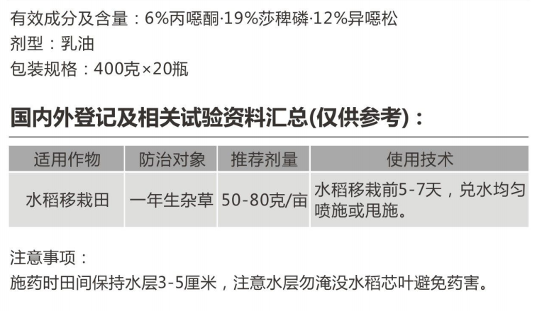 飞之意