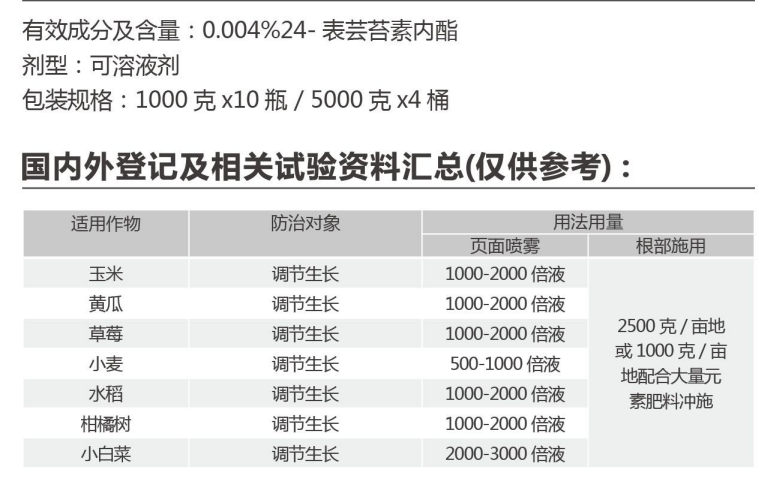 阿罗根